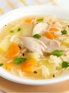 featured chicken noodle soup