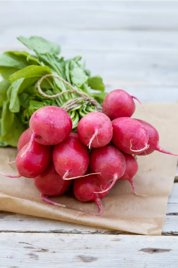a bunch of radishes