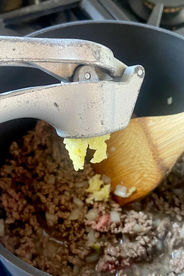 garlic press pressing garlic clove