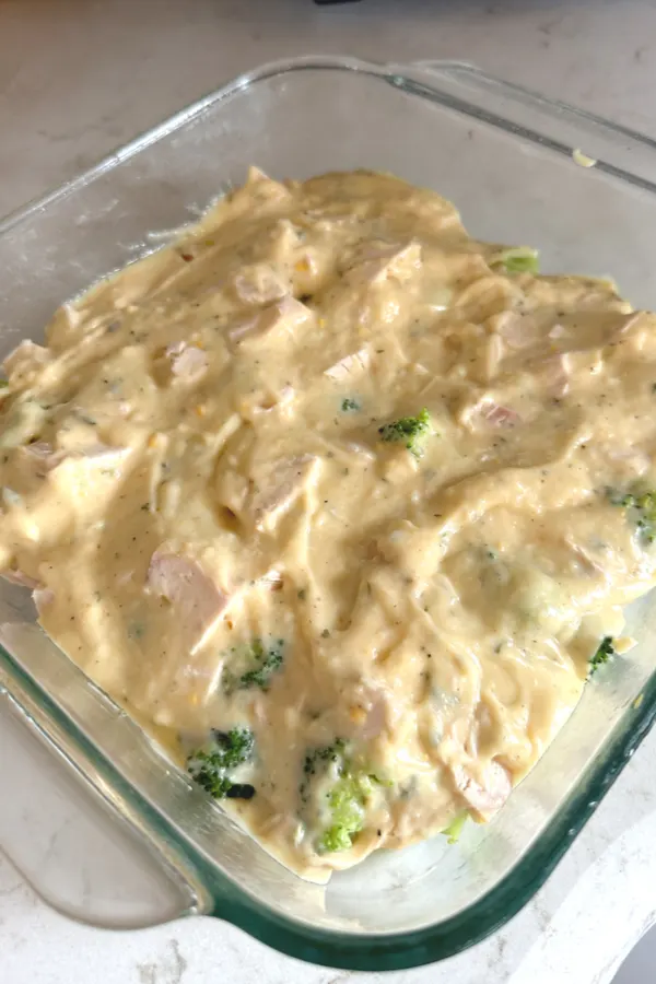 chicken divan sauce over chicken and broccoli 