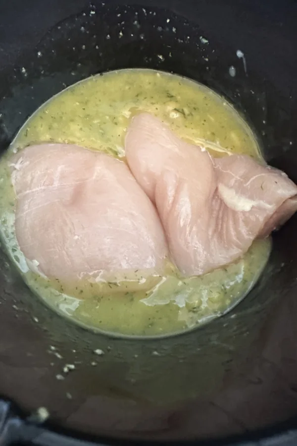 chicken breast in sauce