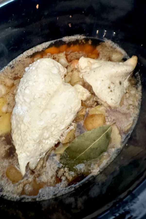 cooked chicken stew for two
