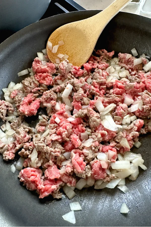 beef and onion mixture 