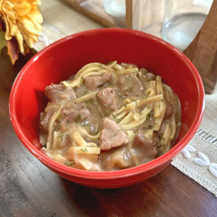 beef and noodles in red bowl