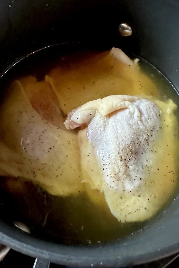 bone in skin on chicken thighs in pot with chicken broth