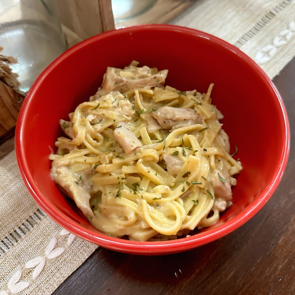 old fashioned chicken and noodles in red bowl