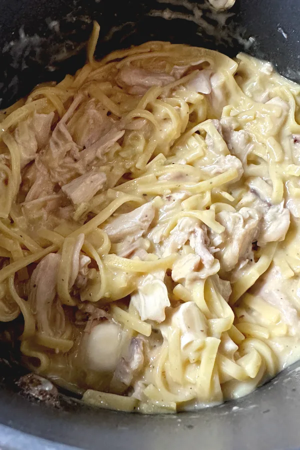 old fashioned chicken and noodles in a pot