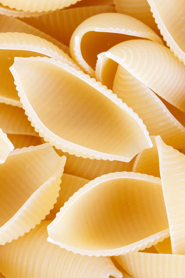 large pasta shells