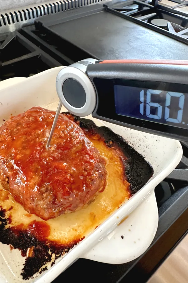 instant read thermometer checking temperature of meat