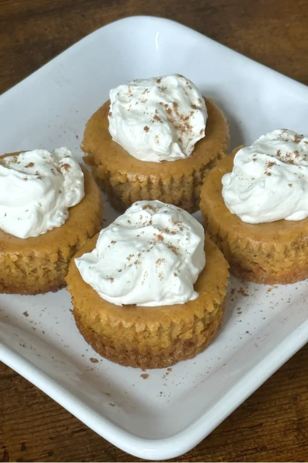 mini pumpkin cheesecakes with whipped topping