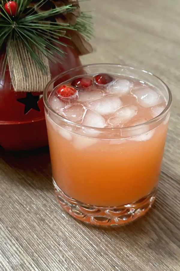 Christmas punch cocktail with cranberry garnish