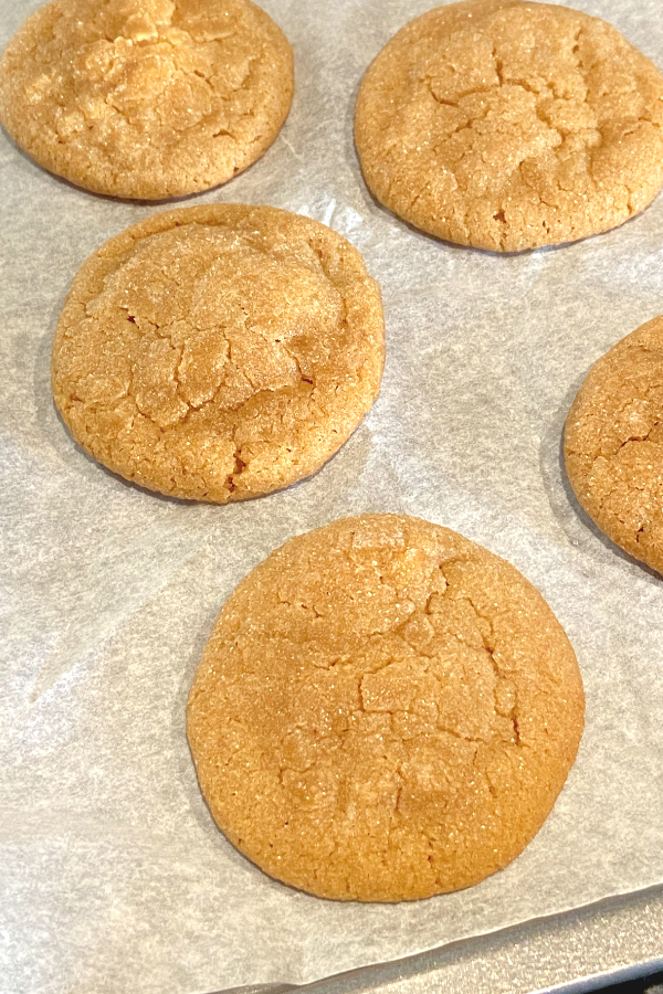 cooked peanut butter cookie 