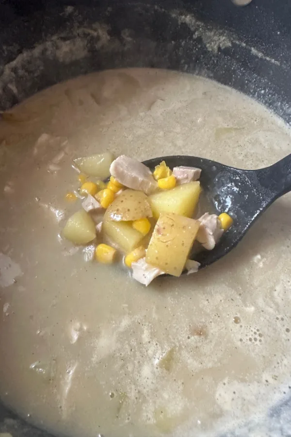 potatoes chicken and corn in broth