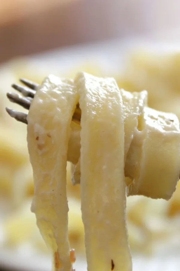 fettuccine alfredo