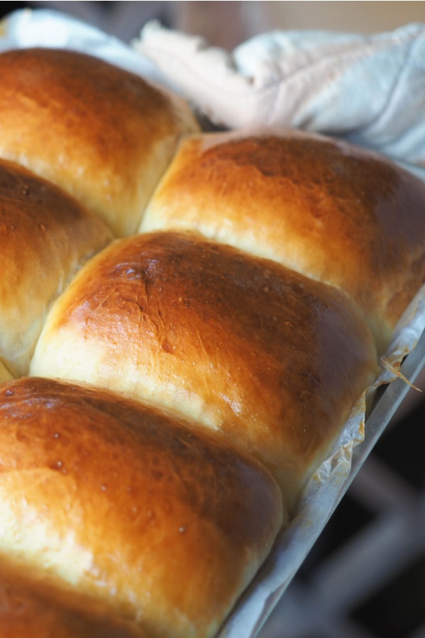 baked dinner rolls
