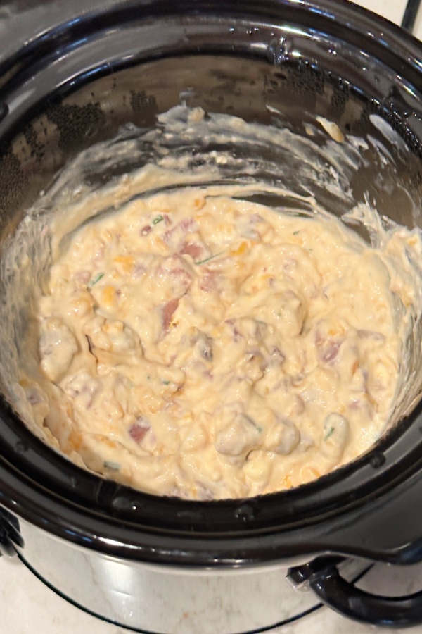 ham and cheese dip in crock pot