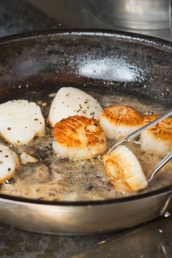 cooking scallops
