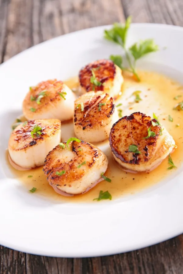 pan seared scallop dinner