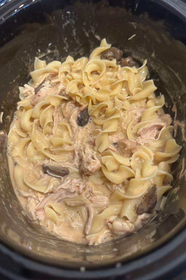 crock pot chicken stroganoff